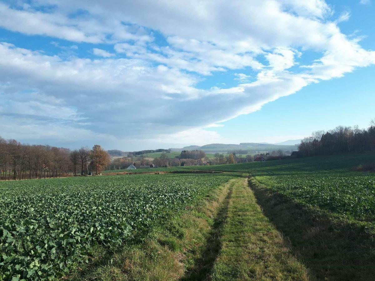 Agroturystyka U Swiatkow Stara Kamienica エクステリア 写真